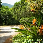 La Nais -suites & Avec Piscine Et Padel Отель типа 