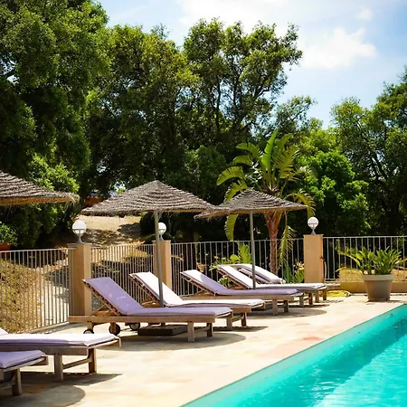 Couette-café La Nais Padel&piscine -suites&appartements