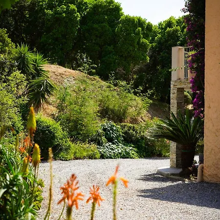 住宿加早餐酒店 Nais