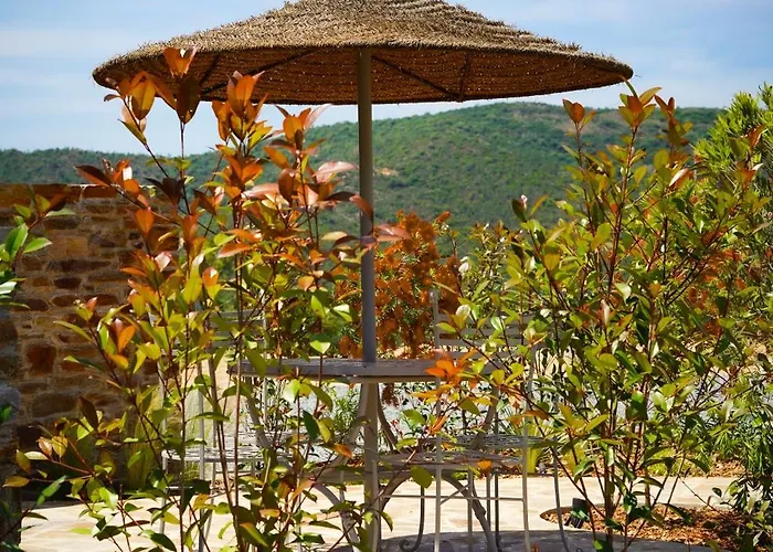 Nais Oda ve Kahvaltı