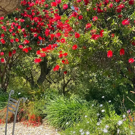 ベッド・アンド・ブレックファスト Nais 4*