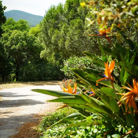 Nais Bed & Breakfast Bormes-les-Mimosas