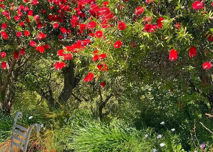 Bed and Breakfast Nais 4*