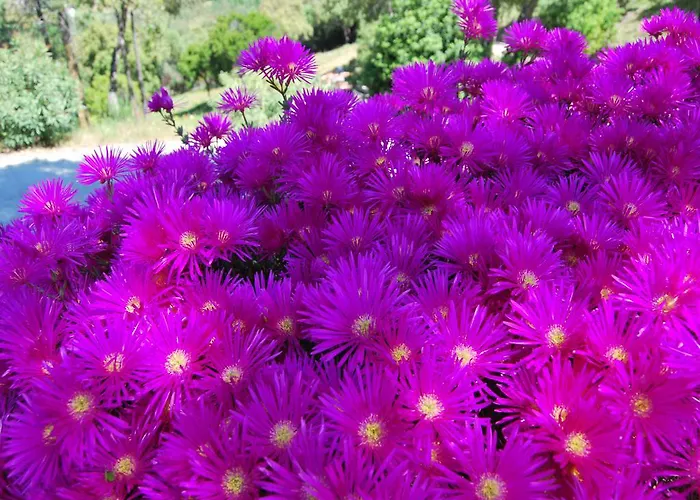 Nocleg ze śniadaniem Nais 4*